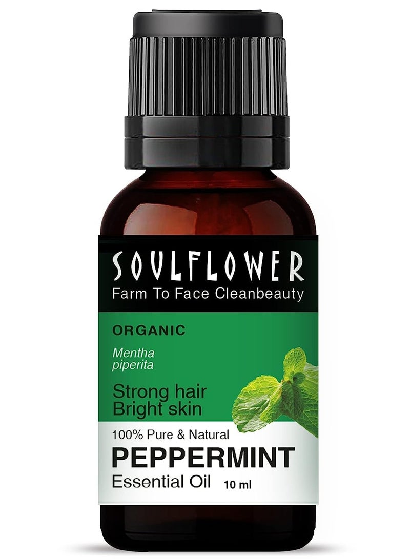 Soulflower Peppermint Essential Oil for Skin & Hair Growth, Hair Fall Control, Scalp |100% Pure & Natural Therapeutic Grade, Undiluted, Ecocert Cosmos Organic Certified, Mentha Piperita |10ml - Image 1